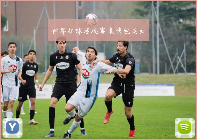 世界杯球迷观赛表情包走红