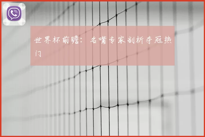 世界杯前瞻:名嘴专家剖析夺冠热门