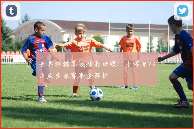世界杯揭幕战精彩回顾:卡塔尔vs厄瓜多尔赛事全解析