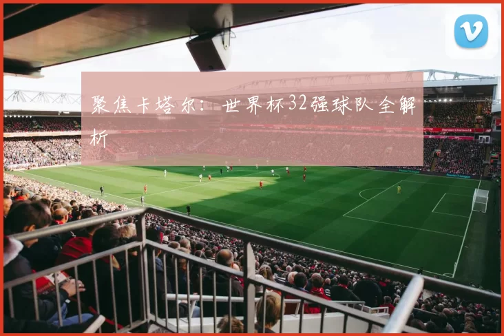 聚焦卡塔尔:世界杯32强球队全解析