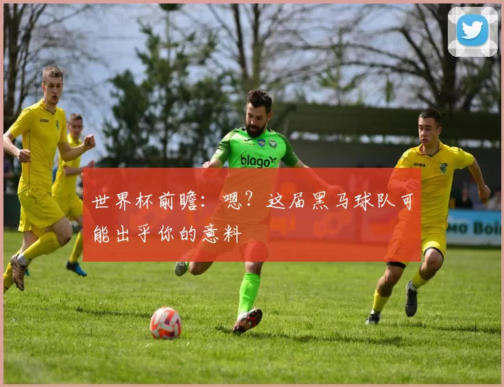 世界杯前瞻:嗯?这届黑马球队可能出乎你的意料