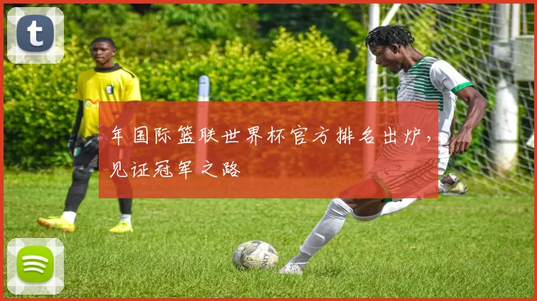 年国际篮联世界杯官方排名出炉,见证冠军之路