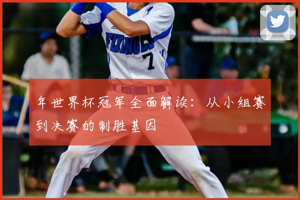 年世界杯冠军全面解读:从小组赛到决赛的制胜基因