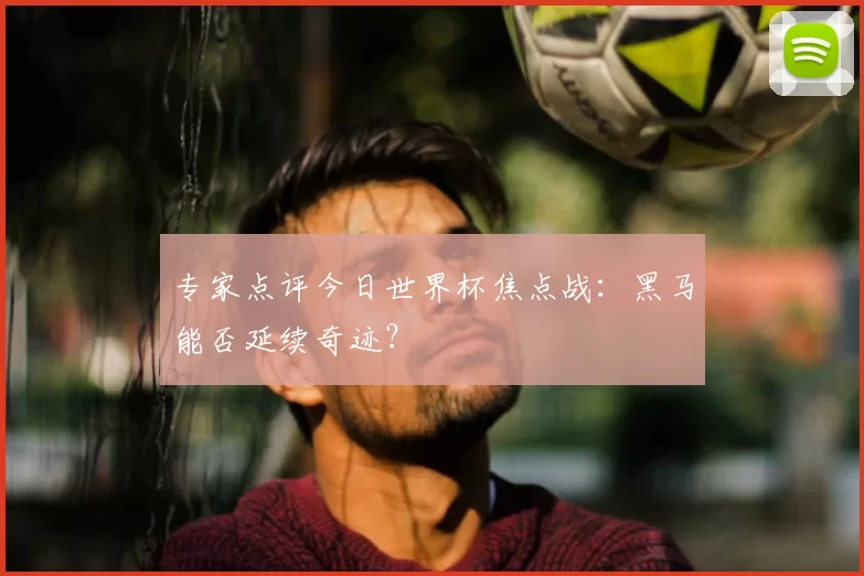 专家点评今日世界杯焦点战:黑马能否延续奇迹?