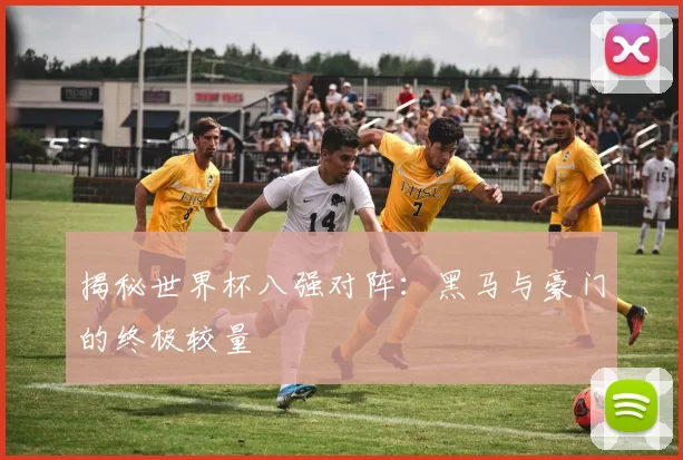 揭秘世界杯八强对阵:黑马与豪门的终极较量