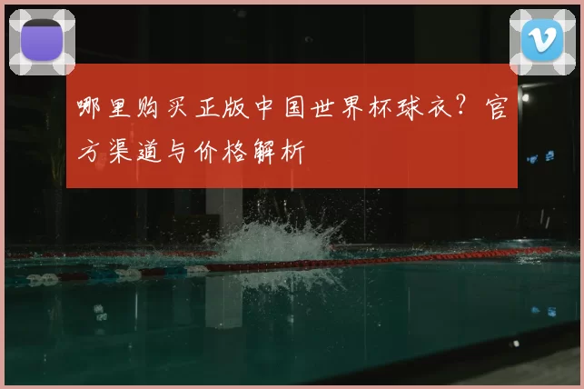 哪里购买正版中国世界杯球衣?官方渠道与价格解析