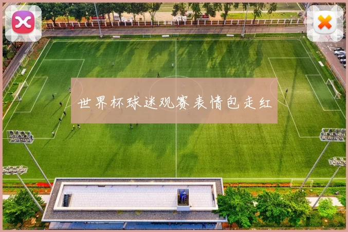 世界杯球迷观赛表情包走红